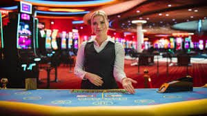 Live blackjack table streaming on hoki78 login during MPL broadcast